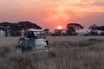 Tanzania Safari Evening