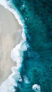 African Seascape