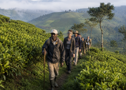 Gorilla trekking tours Rwanda Uganda