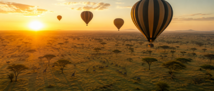 Hot air balloons floating over